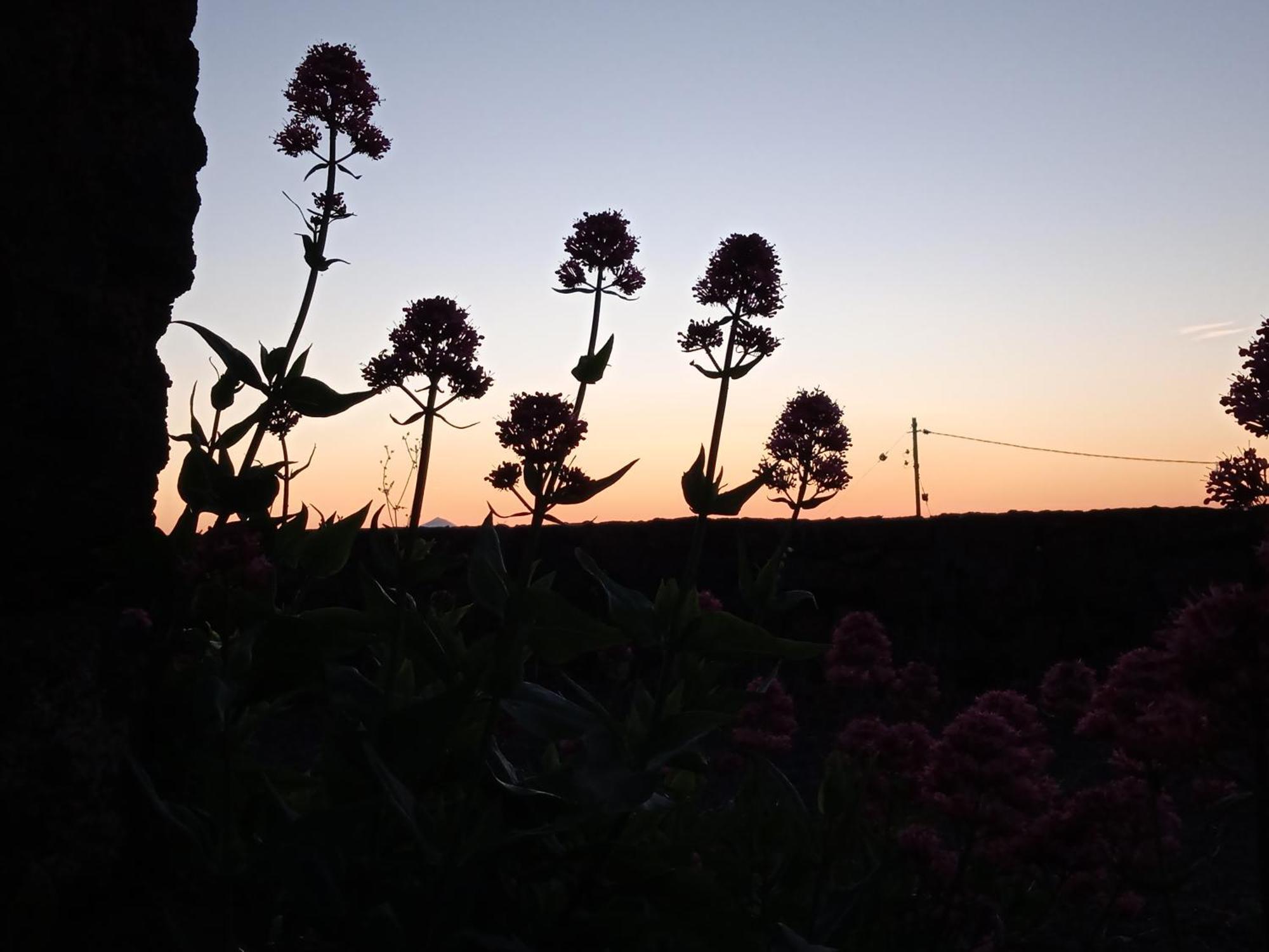 Villa Casa Ben Abora Las Rosas  Esterno foto